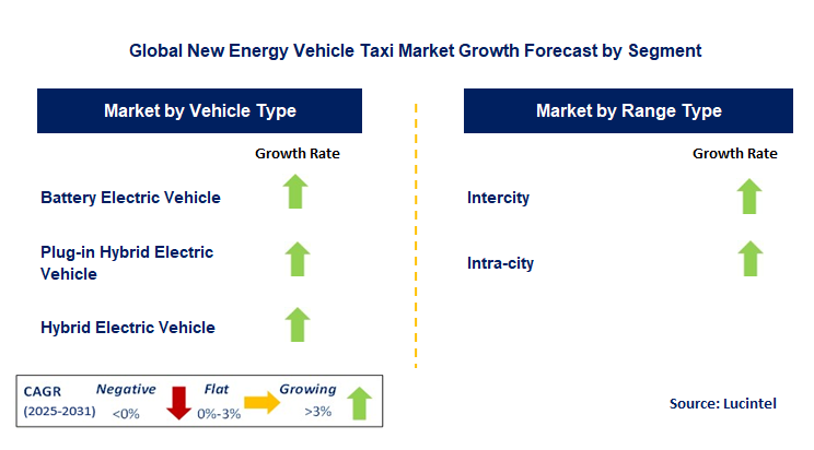 New Energy Vehicle Taxi Market by Segment
