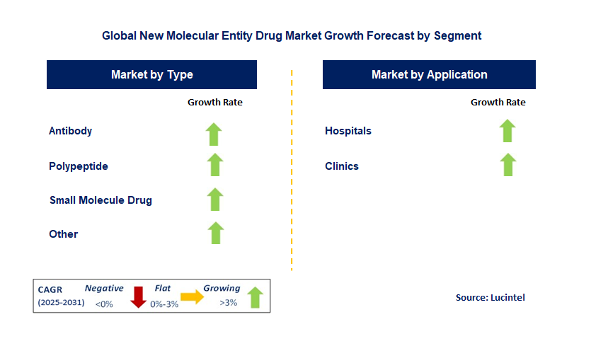 New Molecular Entity Drug Market by Segment