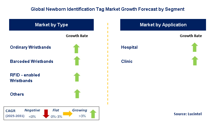 Newborn Identification Tag Market by Segment