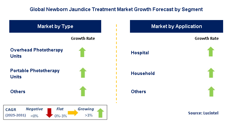 Newborn Jaundice Treatment Market by Segment