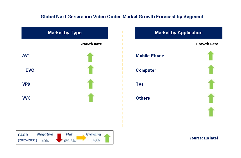 Next Generation Video Codec by Segment