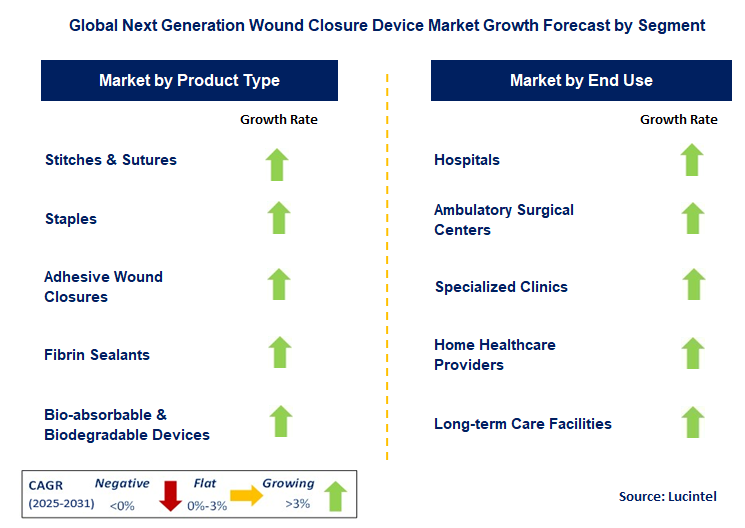 Next Generation Wound Closure Device Market by Segment
