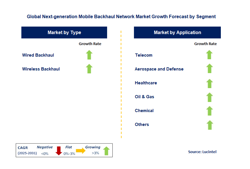 Next-Generation Mobile Backhaul Network Market by Segment