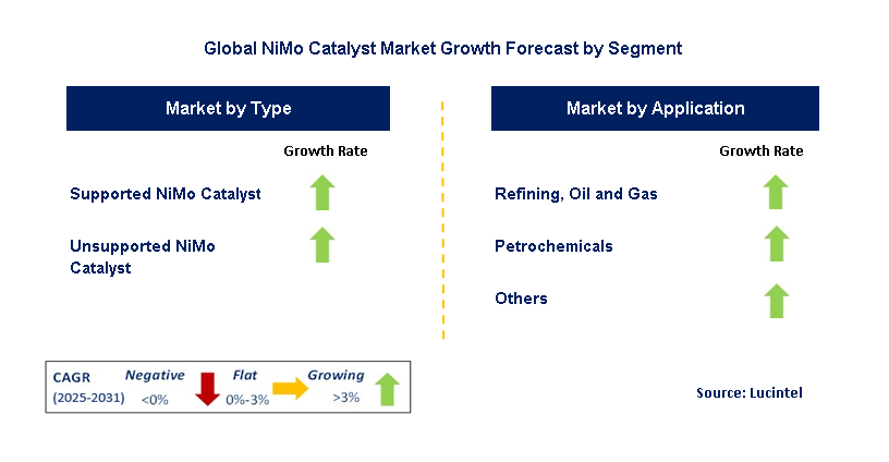 NiMo Catalyst Market by Segment