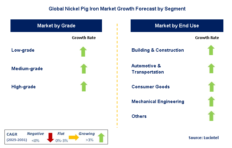 Nickel Pig Iron Market by Segment