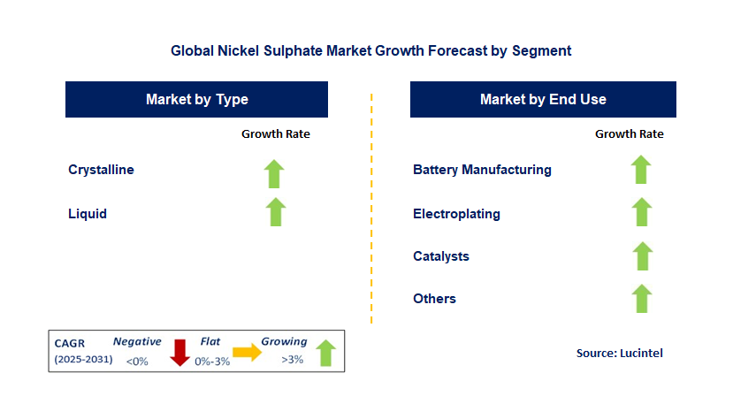 Nickel Sulphate Market by Segment