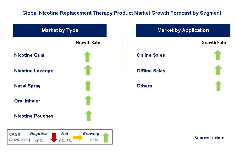 Nicotine Replacement Therapy Product Market by Segment