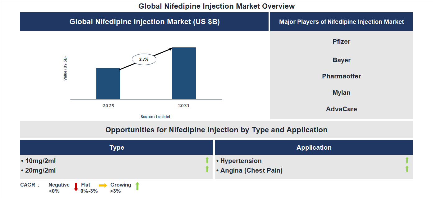 Nifedipine Injection Market Trends and Forecast
