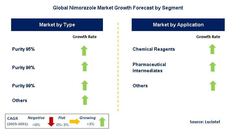 Nimorazole Market by Segment