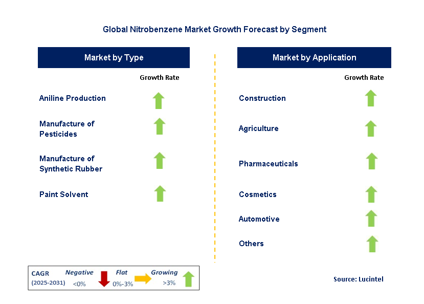 Nitrobenzene Market by Segment