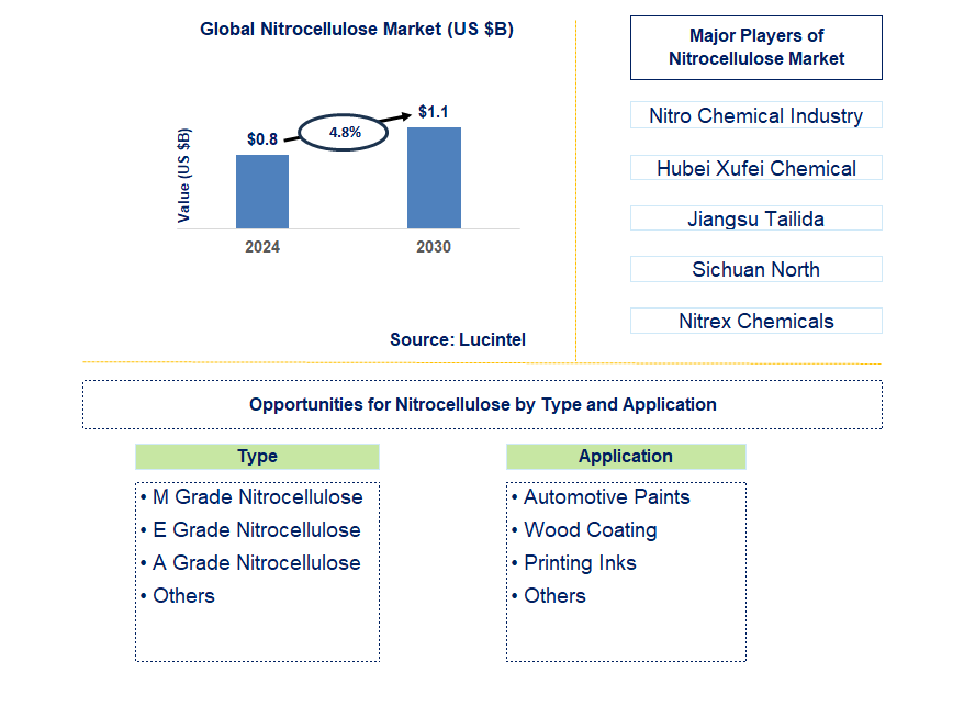 Nitrocellulose Trends and Forecast