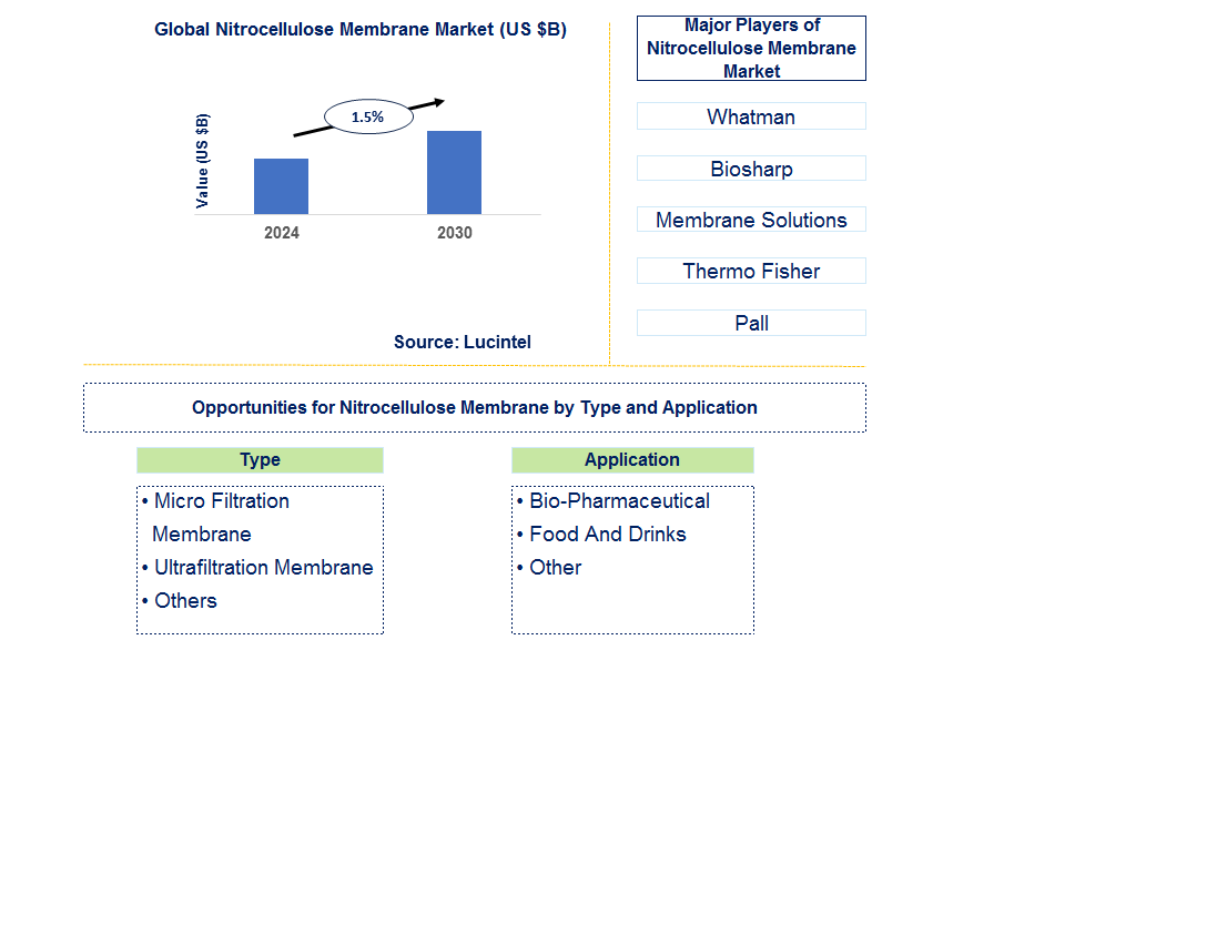 Nitrocellulose Membrane Trends and Forecast