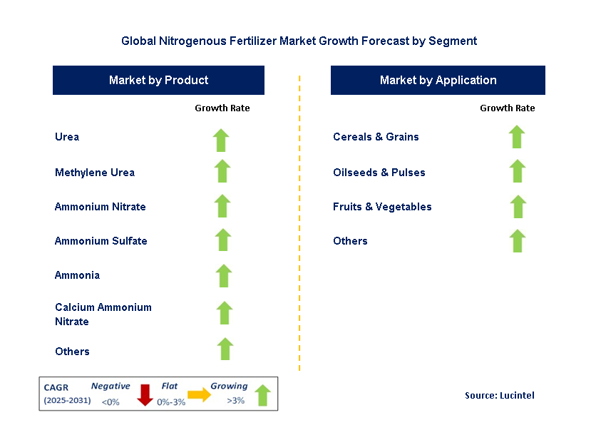 Nitrogenous Fertilizer Market by Segment