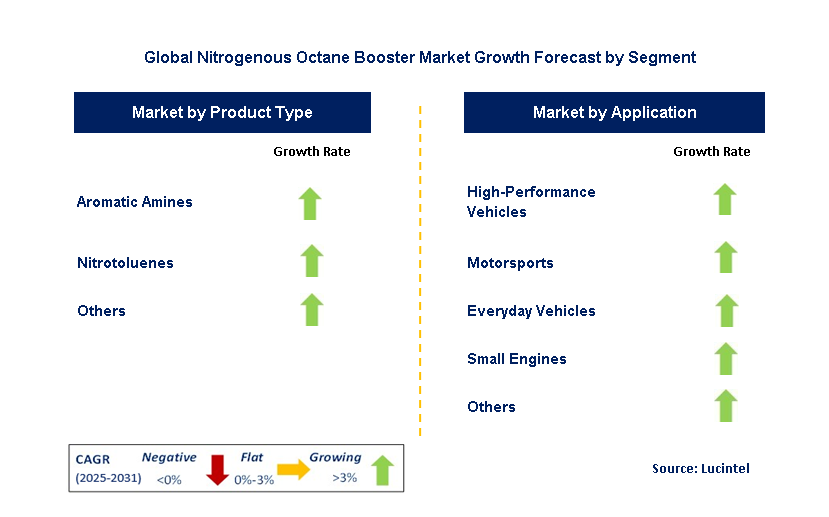 Nitrogenous Octane Booster Market by Segment