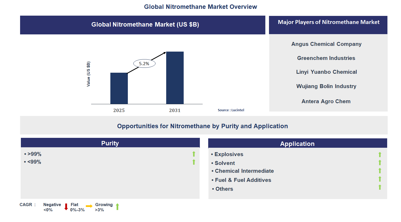 Nitromethane Market Trends and Forecast