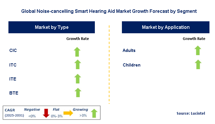 Noise-cancelling Smart Hearing Aid Market by Segment