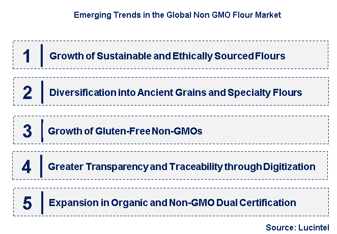 Emerging Trends in the Non GMO Flour Market
