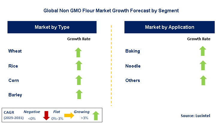 Non GMO Flour Market by Segment