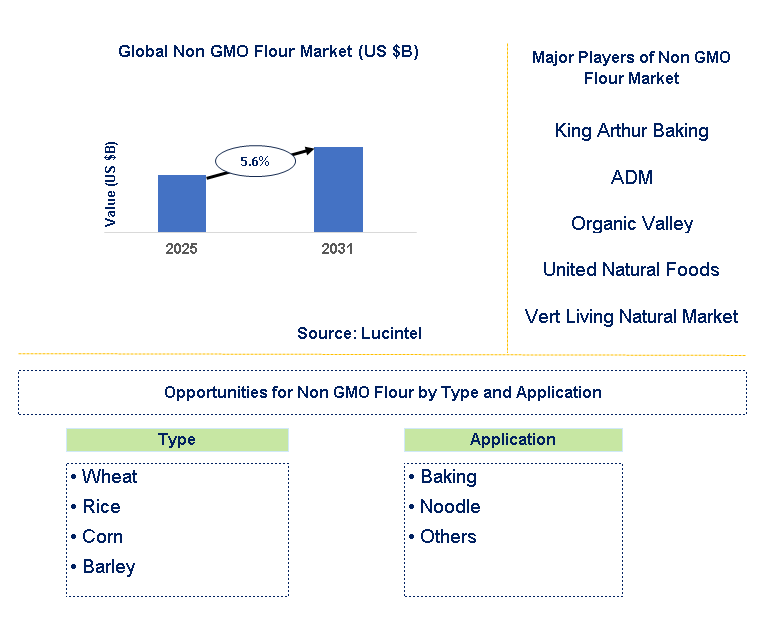 Non GMO Flour Market Trends and Forecast