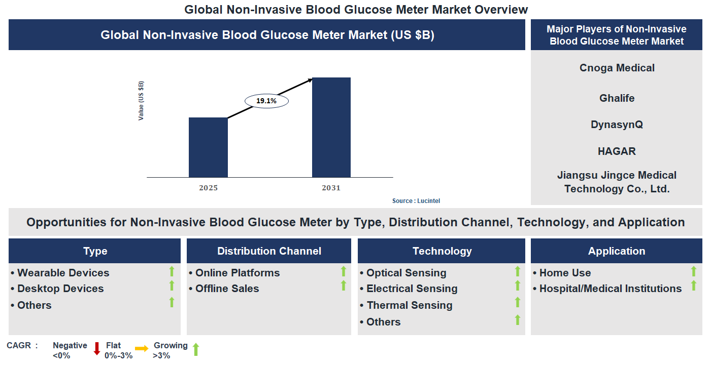 Non-Invasive Blood Glucose Meter Market Trends and Forecast