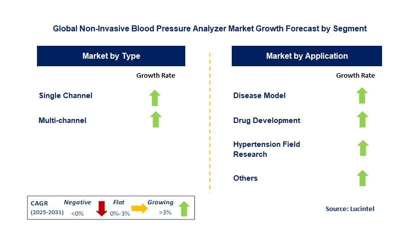 Non-Invasive Blood Pressure Analyzer Market by Segment