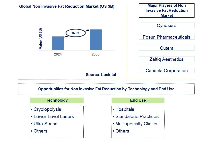 Non Invasive Fat Reduction Trends and Forecast