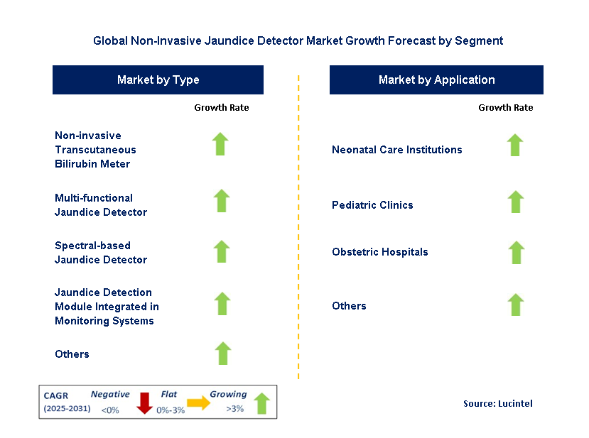 Non-Invasive Jaundice Detector Market by Segment