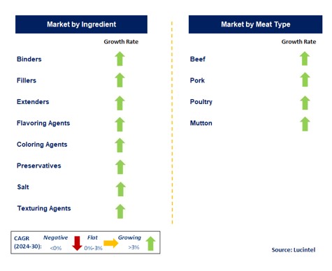 Non-Meat Ingredient by Segment