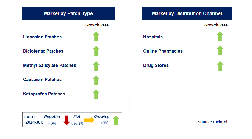 Non-Opioid Pain Patch by Segment