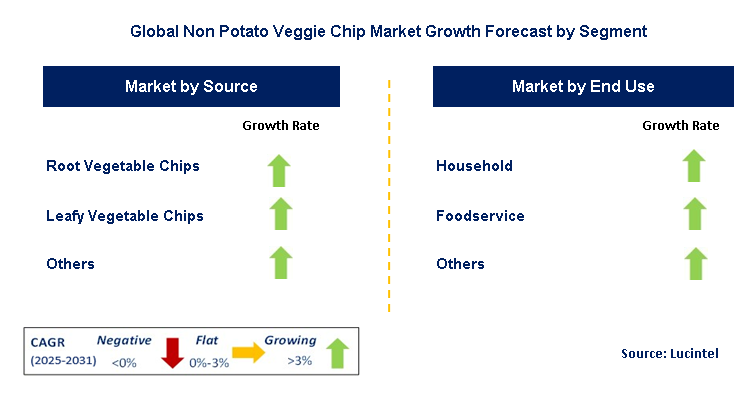 Non Potato Veggie Chip Market by Segment