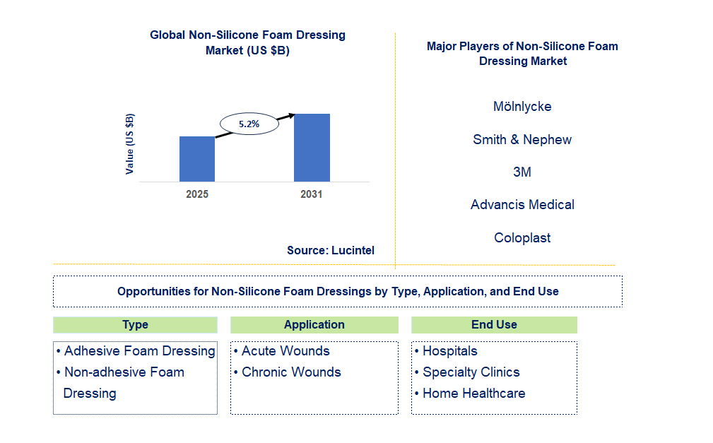 Non-Silicone Foam Dressing Market Trends and Forecast