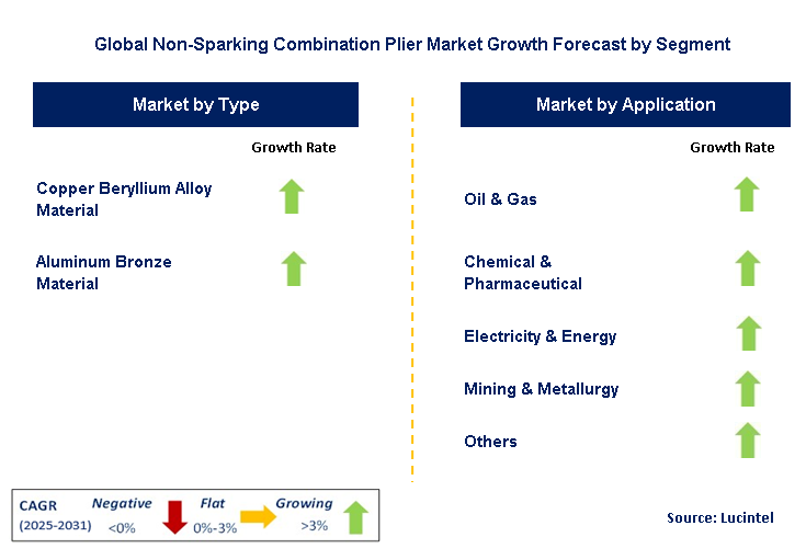 Non-Sparking Combination Plier Market by Segment