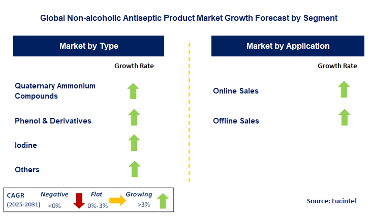Non-alcoholic Antiseptic Product Market by Segment
