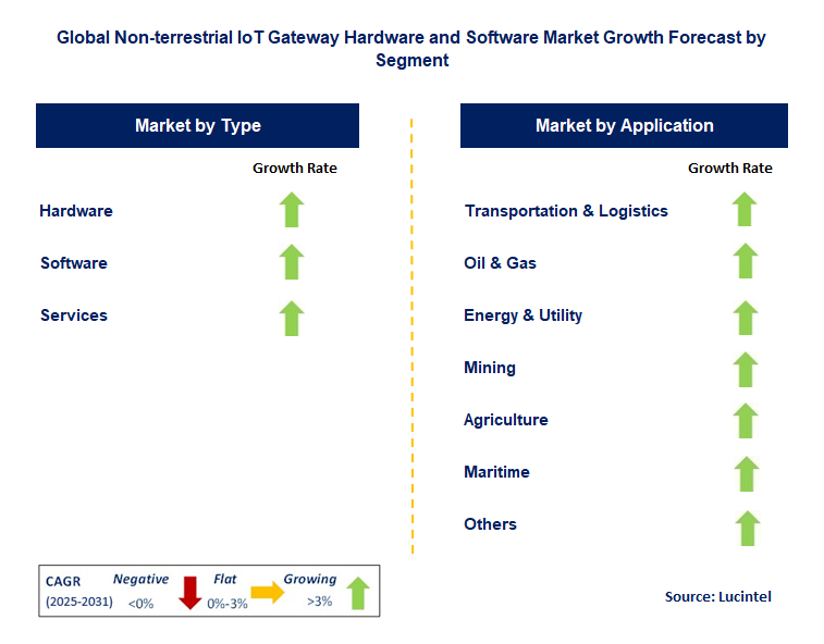 Non-Terrestrial IoT Gateway Hardware and Software Market by Segment