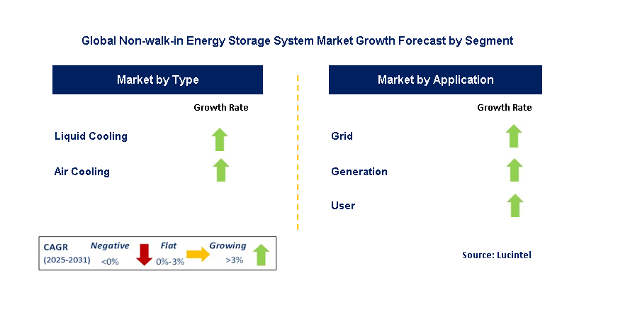 Non-walk-in Energy Storage System Market by Segment