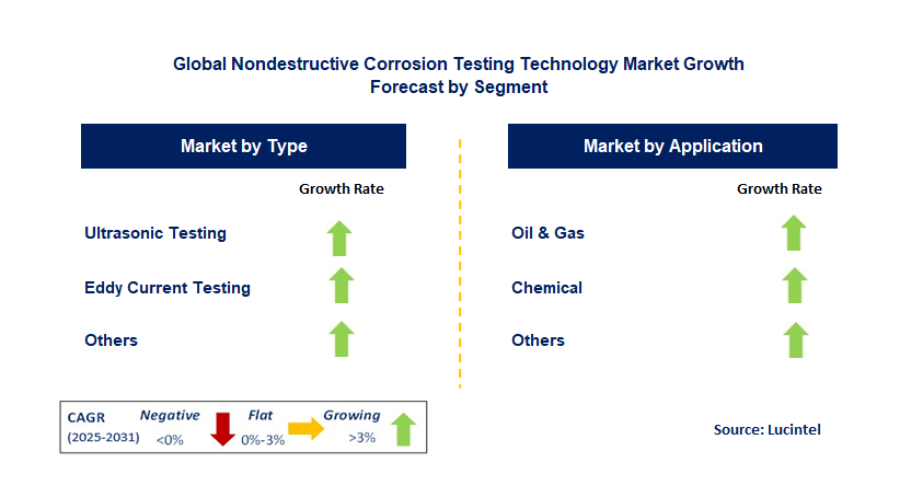 Nondestructive Corrosion Testing Technology Market by Segment