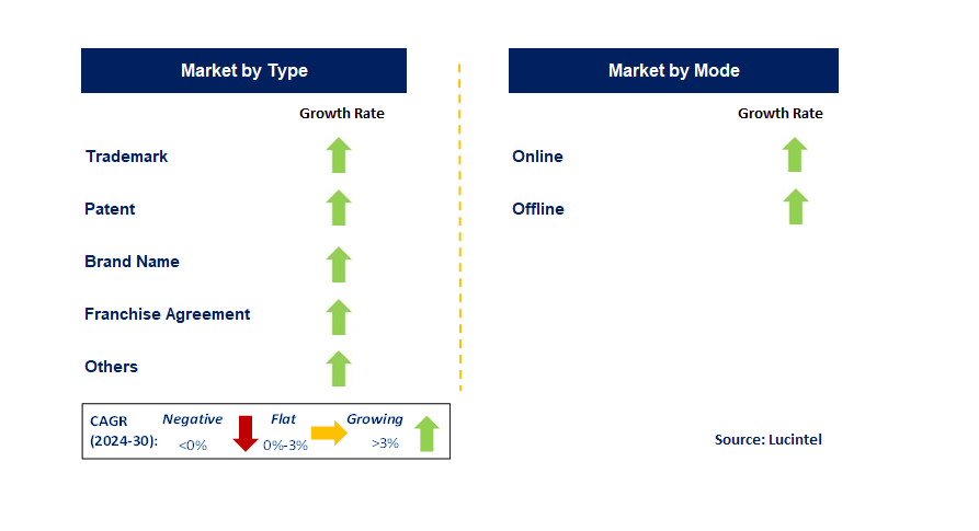 Nonfinancial Intangible Asset by Segment