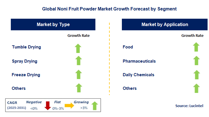 Noni Fruit Powder Market by Segment