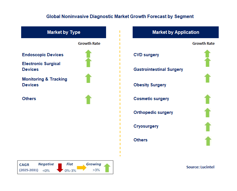 Noninvasive Diagnostic Market by Segment