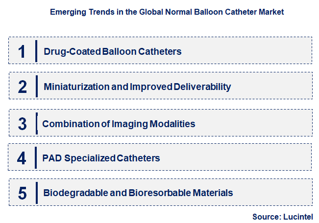 Emerging Trends in the Normal Balloon Catheter Market