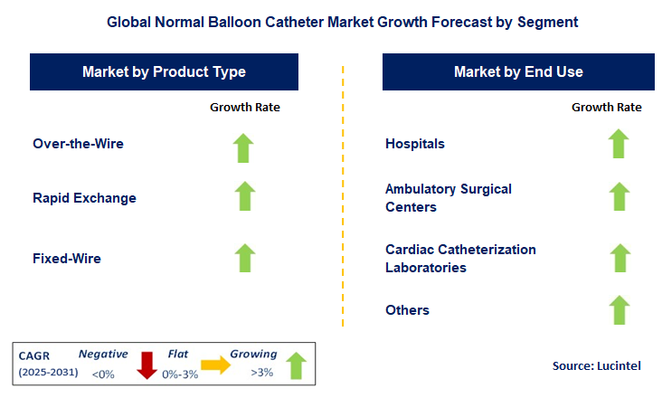 Normal Balloon Catheter Market by Segment