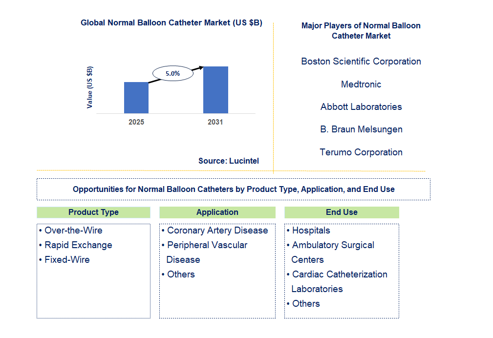 Normal Balloon Catheter Market Trends and Forecast