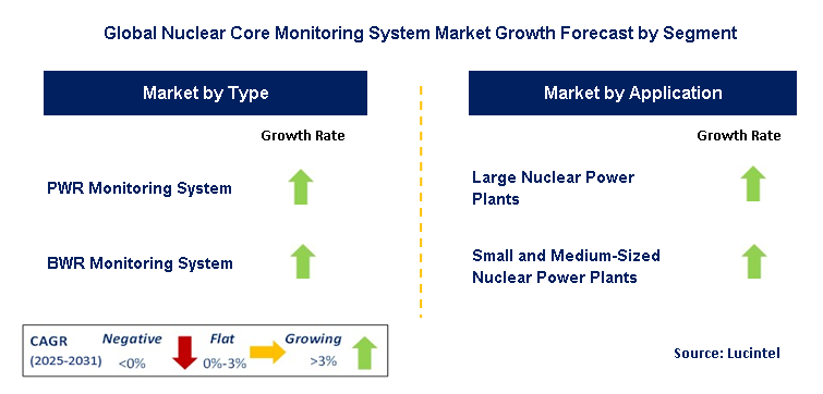 Nuclear Core Monitoring System Market by Segment