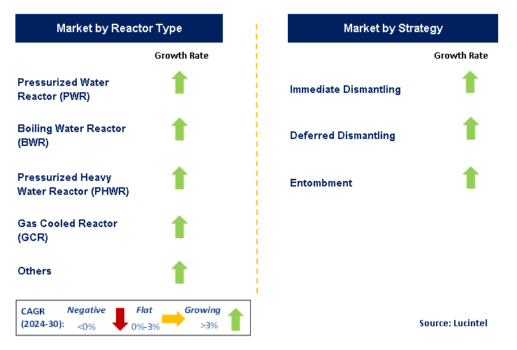 Nuclear Decommissioning Service by Segment