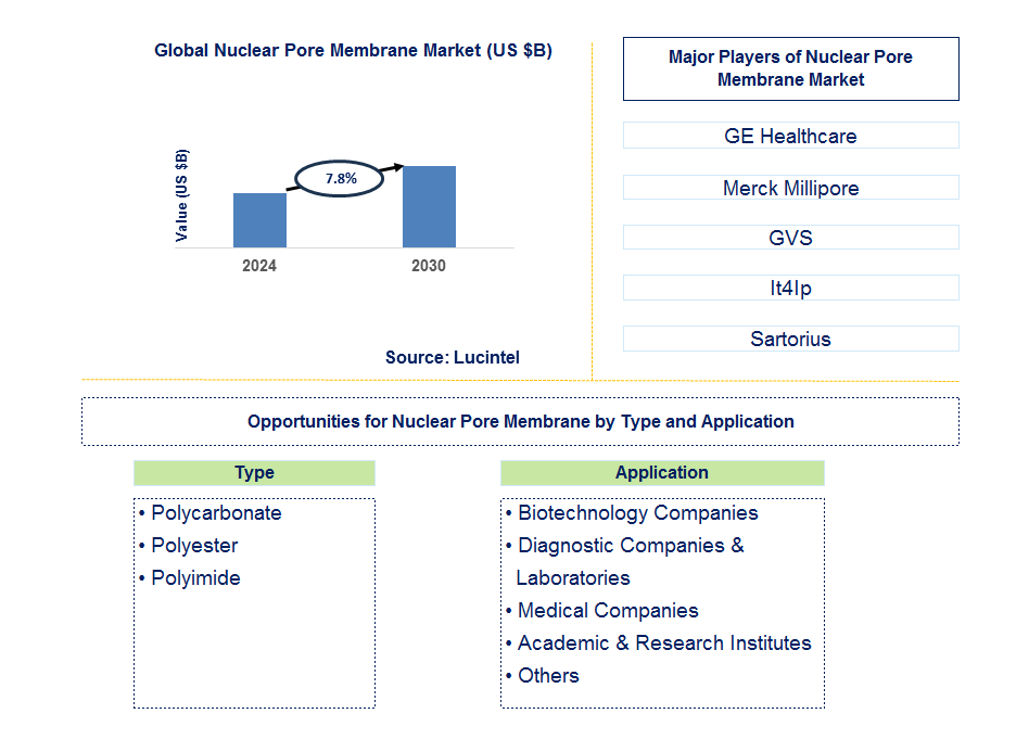 Nuclear Pore Membrane Trends and Forecast