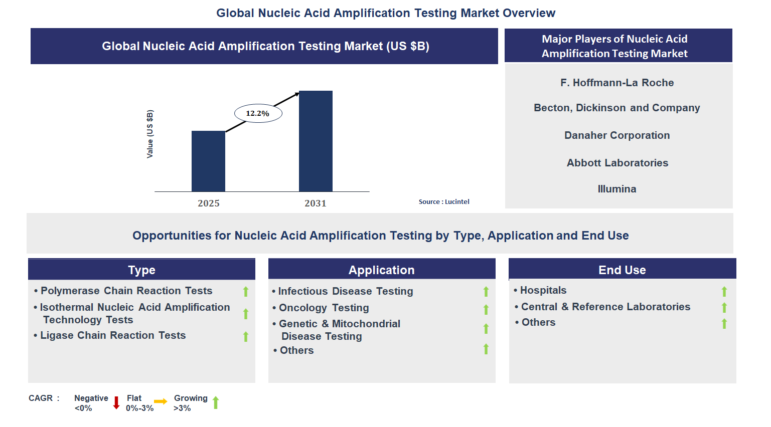 Nucleic Acid Amplification Testing Market Trends and Forecast