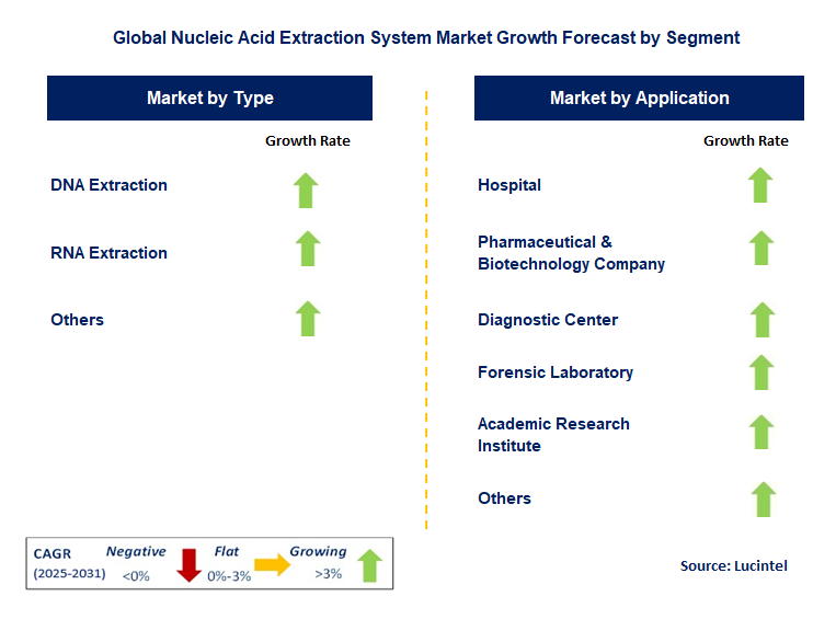 Nucleic Acid Extraction System Market by Segment