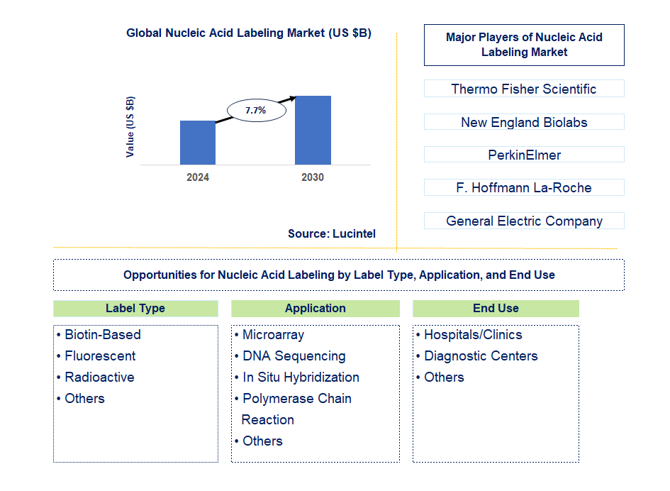 Nucleic Acid Labeling Trends and Forecast