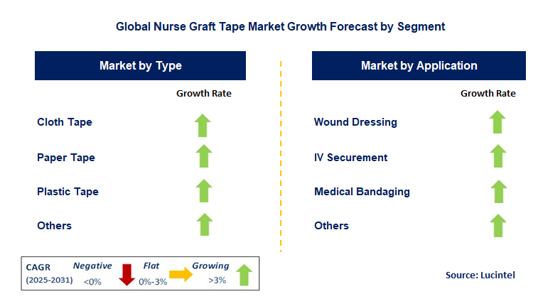 Nurse Graft Tape Market by Segment