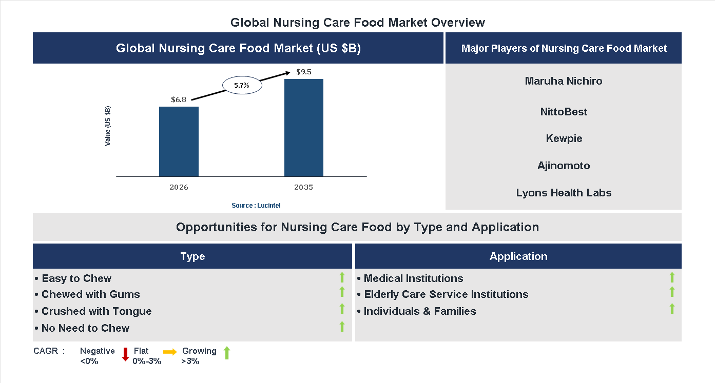 Nursing Care Food Market Trends and Forecast